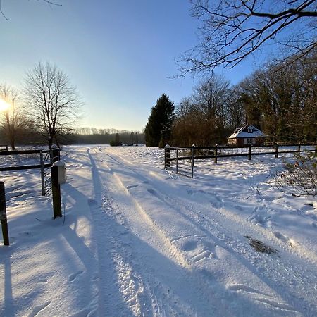 Vakantiewoning Heidebos In Het Nationaal Park Hoge Kempen Opglabbeek المظهر الخارجي الصورة