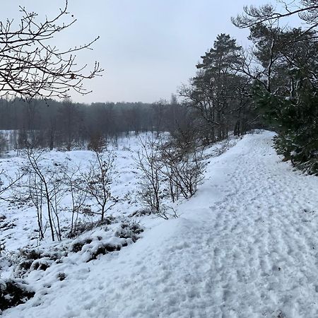 Vakantiewoning Heidebos In Het Nationaal Park Hoge Kempen Opglabbeek المظهر الخارجي الصورة