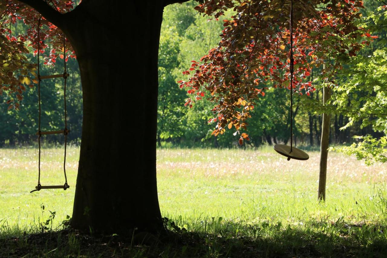 Vakantiewoning Heidebos In Het Nationaal Park Hoge Kempen Opglabbeek المظهر الخارجي الصورة