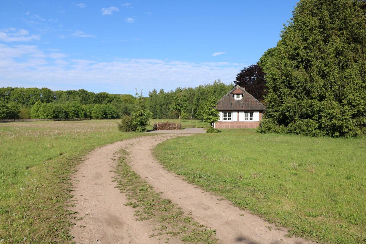 Vakantiewoning Heidebos In Het Nationaal Park Hoge Kempen Opglabbeek المظهر الخارجي الصورة
