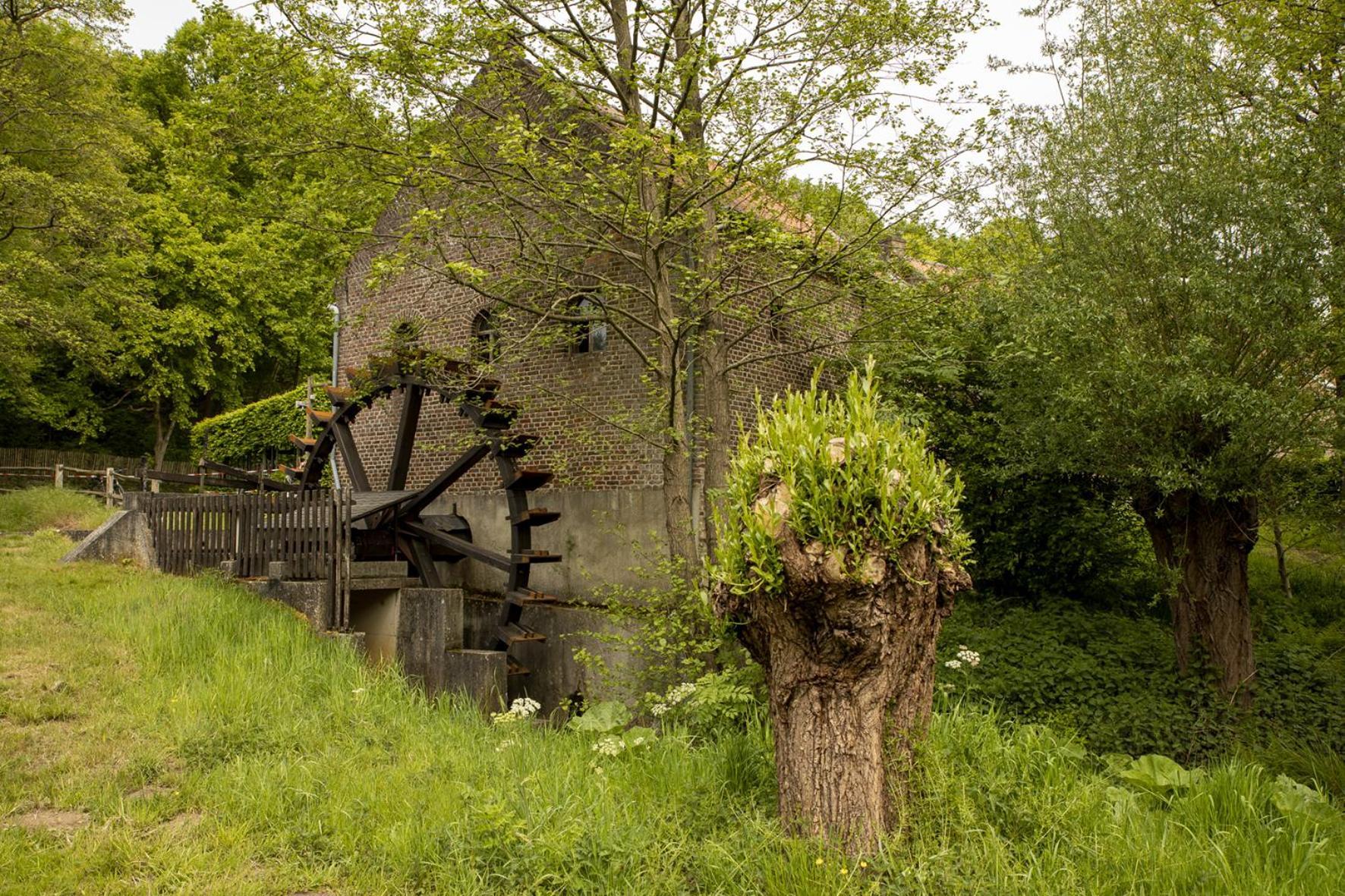 Vakantiewoning Heidebos In Het Nationaal Park Hoge Kempen Opglabbeek المظهر الخارجي الصورة