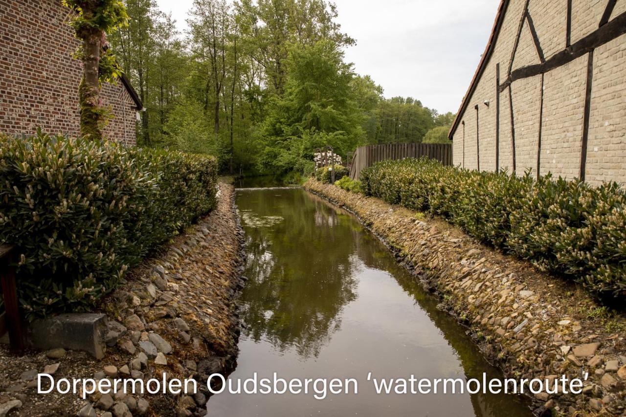 Vakantiewoning Heidebos In Het Nationaal Park Hoge Kempen Opglabbeek المظهر الخارجي الصورة