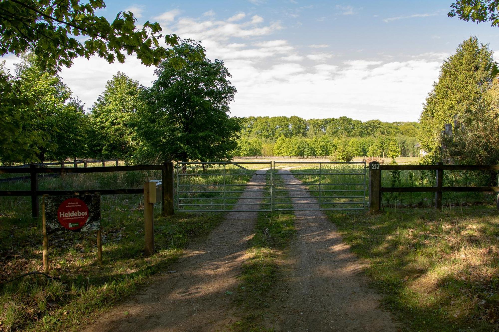 Vakantiewoning Heidebos In Het Nationaal Park Hoge Kempen Opglabbeek المظهر الخارجي الصورة