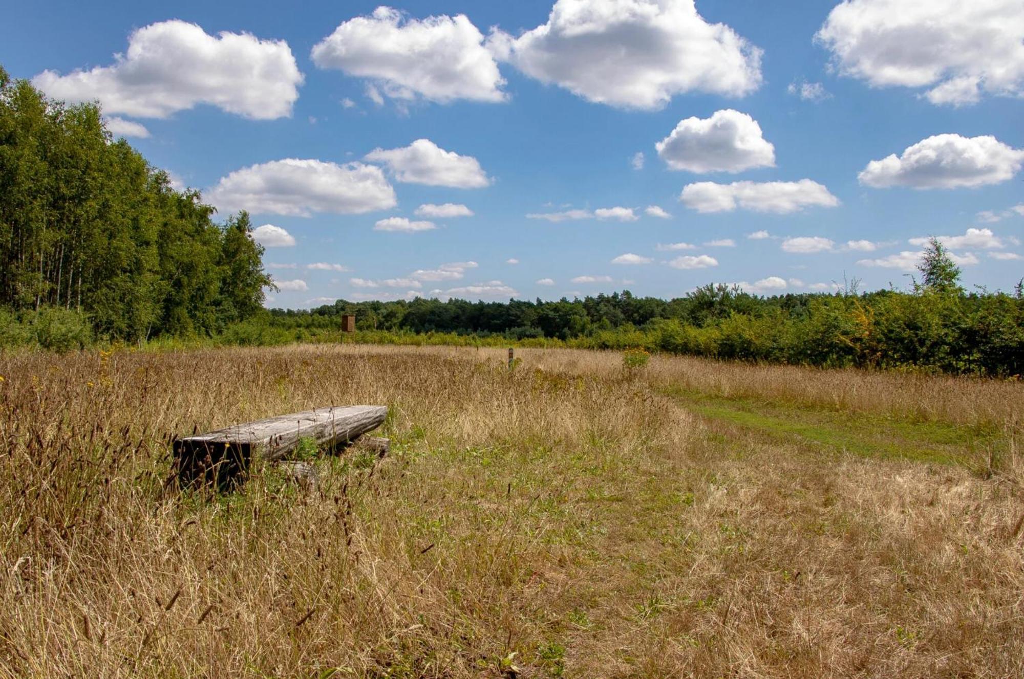 Vakantiewoning Heidebos In Het Nationaal Park Hoge Kempen Opglabbeek المظهر الخارجي الصورة