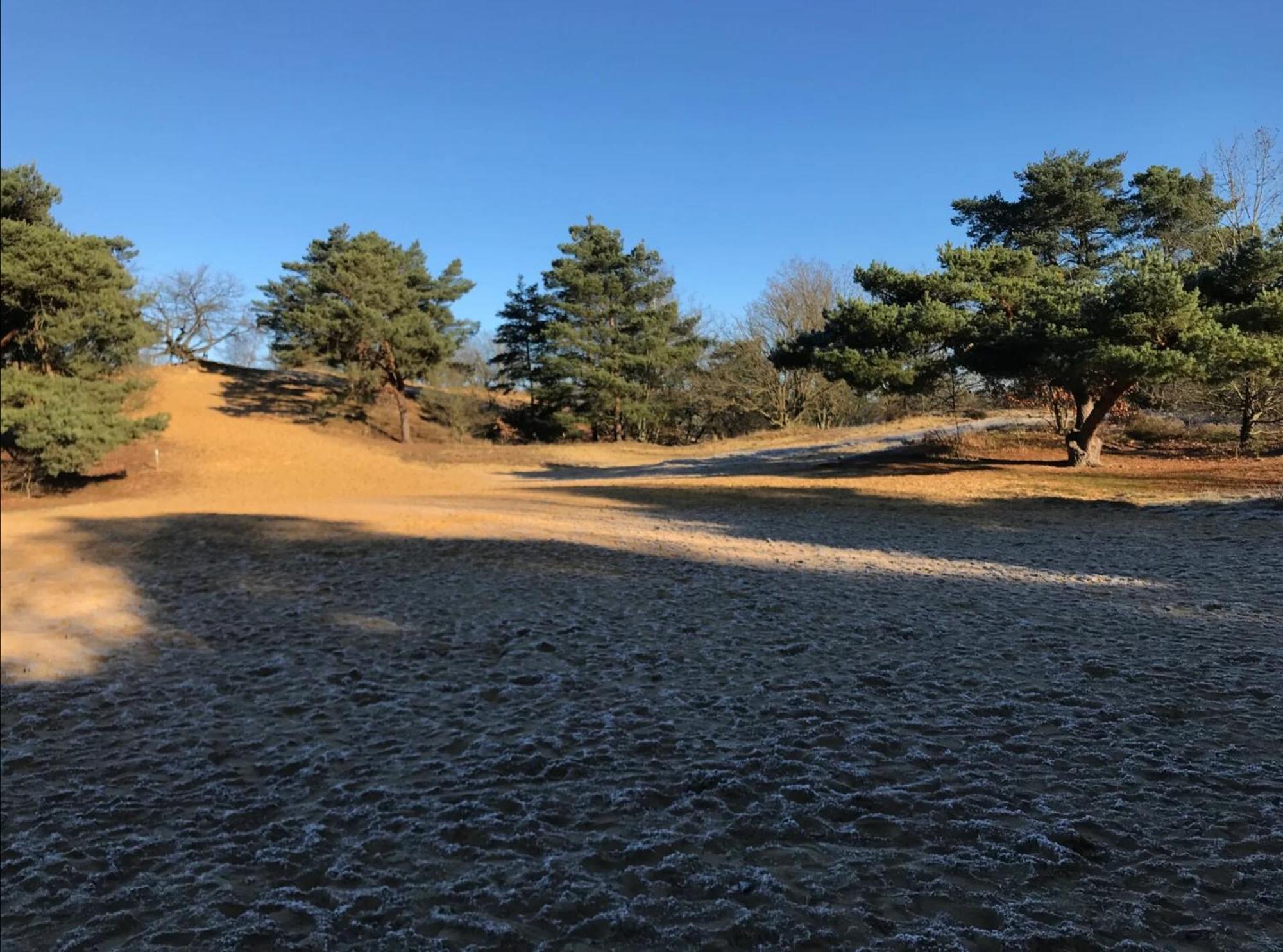 Vakantiewoning Heidebos In Het Nationaal Park Hoge Kempen Opglabbeek المظهر الخارجي الصورة