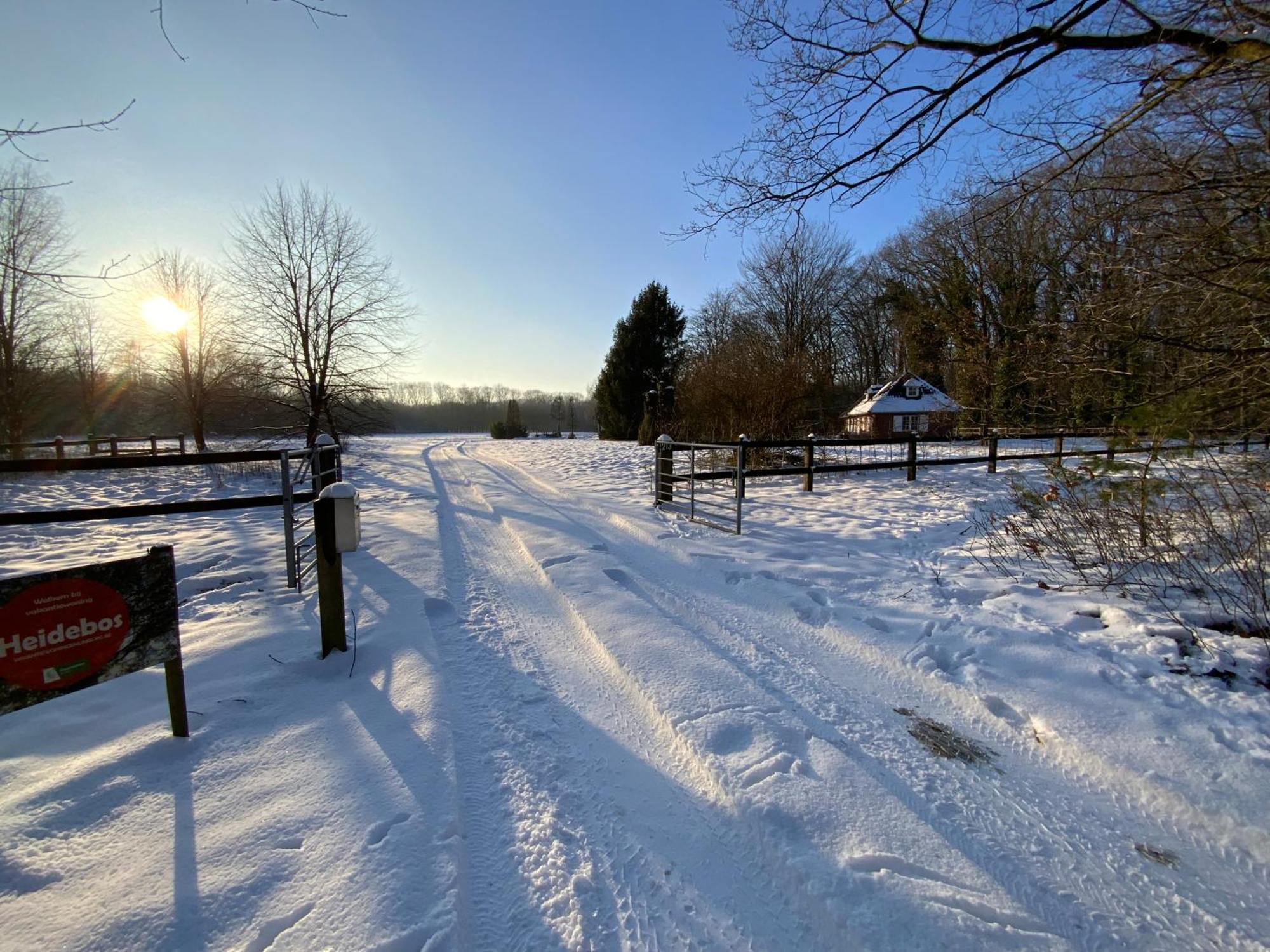 Vakantiewoning Heidebos In Het Nationaal Park Hoge Kempen Opglabbeek المظهر الخارجي الصورة