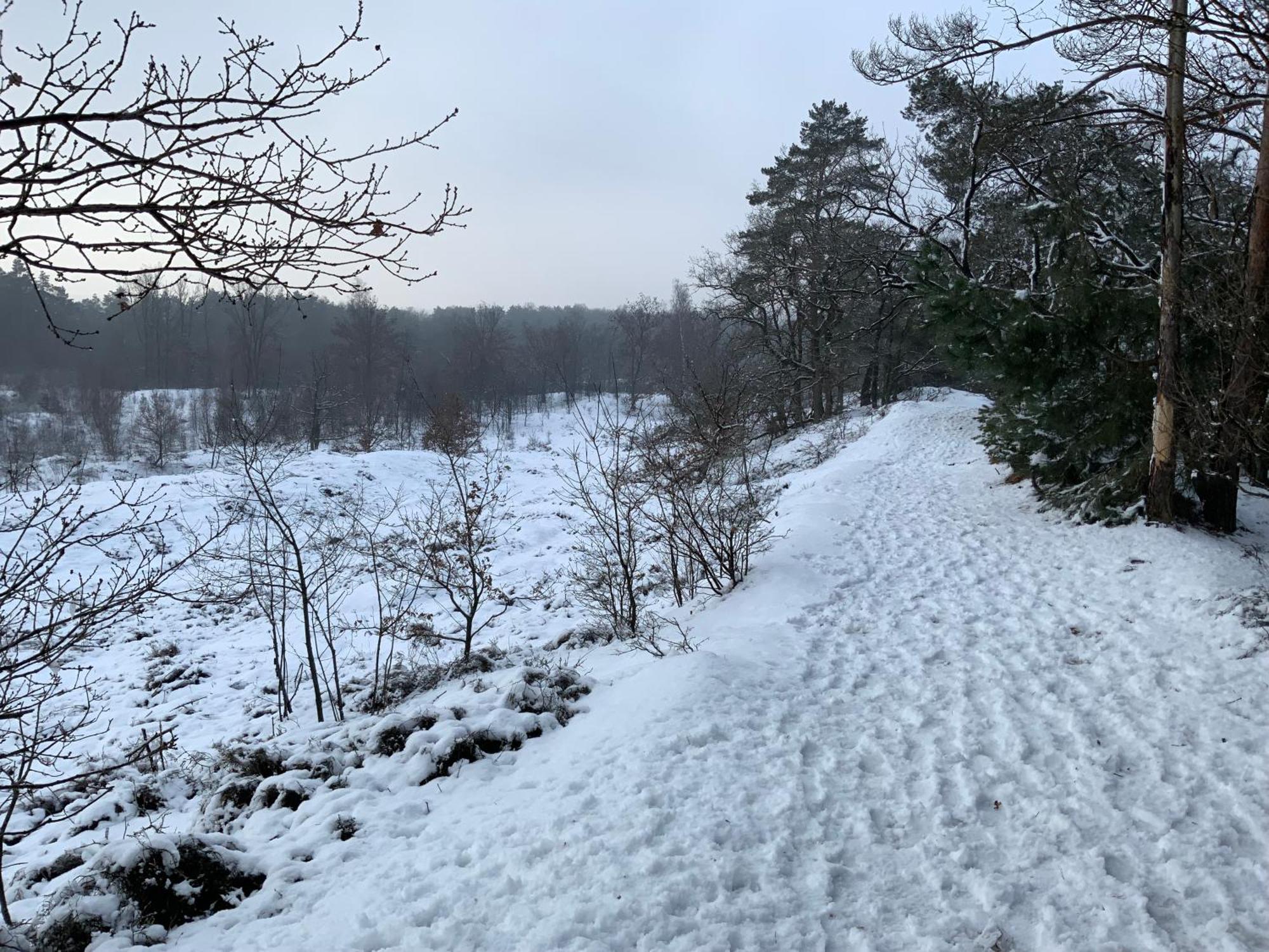 Vakantiewoning Heidebos In Het Nationaal Park Hoge Kempen Opglabbeek المظهر الخارجي الصورة